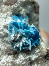 Load image into Gallery viewer, Rare Electric Blue Cavansite on Druzy Matrix – Collector Mineral Specimen | India
