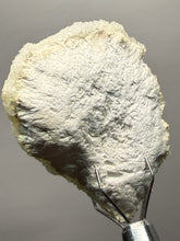 Load image into Gallery viewer, Luminous Mint Apophyllite with Glittering Druzy Sugar Quartz – India
