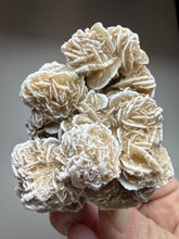 Load image into Gallery viewer, Desert Rose Selenite (Gypsum) — Mineral Display Specimen | Mexico
