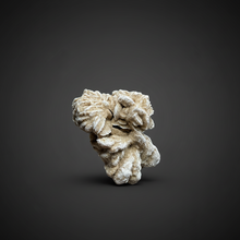 Load image into Gallery viewer, Desert Rose Selenite (Gypsum) — Mineral Display Specimen | Mexico
