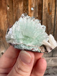 Light Mint Green Radial (Disco Ball) Apophyllite + Stilbite • Maharashtra, India