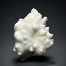 Load image into Gallery viewer, Superb White Flos Ferri Aragonite “Flower of Iron” Mineral Specimen | Lom Vitošov, Czech Republic
