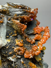 Load image into Gallery viewer, Natural Vanadinite on Matrix | Collector Mineral Specimen | Morocco
