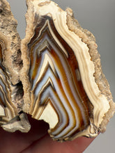 Load image into Gallery viewer, High-Grade Indonesian Sumatra Agate Pair – Vibrant Banded Chalcedony with Rich Color Zoning | Ethical Lapidary &amp; Collector Display Specimens
