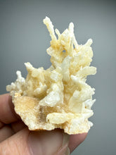 Load image into Gallery viewer, High-Grade Coral Aragonite Crystal Specimen – Wenshan Mine, Yunnan, China
