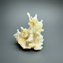 Load image into Gallery viewer, High-Grade Coral Aragonite Crystal Specimen – Wenshan Mine, Yunnan, China
