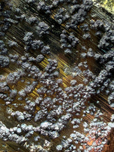 Load image into Gallery viewer, 5.7” New Find: Huanzala Mine Peru Sphalerite + Chalcopyrite + Apatite + Calcite + Quartz | Collector Display Specimen
