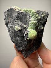Load image into Gallery viewer, High-Grade Green Wavellite Collectors Specimen - Radiating Botryoidal Crystal Formation - Arkansas, USA
