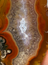 Load image into Gallery viewer, Polished Malawi Agate Half – High-Grade African Banded Agate Display Specimen
