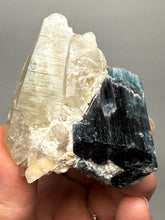 Load image into Gallery viewer, Blue Cap Tourmaline on Quartz Specimen – Pakistan
