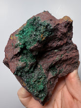 Load image into Gallery viewer, Brochantite Collector Mineral Specimen – Vivid Green Copper Crystals from Morocco
