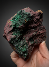 Load image into Gallery viewer, Brochantite Collector Mineral Specimen – Vivid Green Copper Crystals from Morocco
