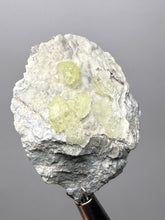 Load image into Gallery viewer, Vibrant Yellow Brucite Thumbnail Mineral Specimen | Collector Crystal from Killa Saifullah District in Balochistan Province, Pakistan
