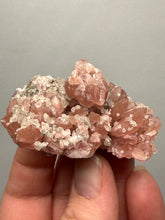 Load image into Gallery viewer, Pink Amethyst Cluster | Argentina
