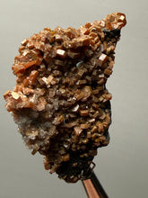Load image into Gallery viewer, Vanadinite Crystal Specimen | Moroccan Mineral Collector Piece
