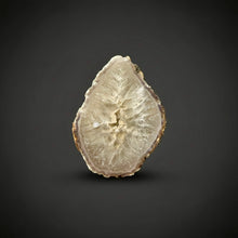 Load image into Gallery viewer, Natural Laguna Agate Collector Mineral Specimen | Chihuahua, Mexico
