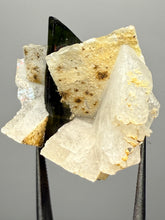 Load image into Gallery viewer, Dark Green Cap Stak Nala Tourmaline and Cleavelandite – Haramosh Mountains, Pakistan | Thumbnail Specimen
