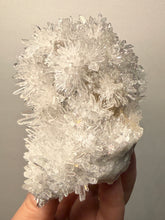 Load image into Gallery viewer, High-Grade Chrysanthemum Quartz (Needle Quartz) Spray Cluster | Jiangxi, China
