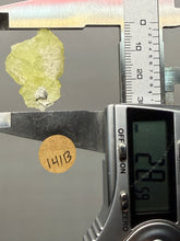 Load image into Gallery viewer, Vibrant Yellow Brucite Thumbnail Mineral Specimen | Collector Crystal from Killa Saifullah District in Balochistan Province, Pakistan
