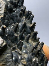 Load image into Gallery viewer, Botryoidal Stalactite Goethite (Iron Oxyhydroxide) Display Specimen | Turkey
