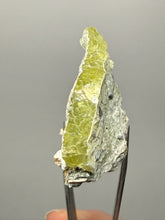 Load image into Gallery viewer, Vibrant Yellow Brucite Thumbnail Mineral Specimen | Collector Crystal from Killa Saifullah District in Balochistan Province, Pakistan
