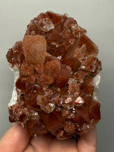 Load image into Gallery viewer, Rare Red Apophyllite + Druzy Red Stilbite Flowers — Deccan Traps, India
