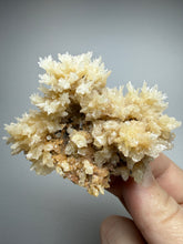 Load image into Gallery viewer, High-Grade Coral Aragonite Crystal Specimen – Wenshan Mine, Yunnan, China
