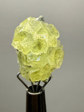 Load image into Gallery viewer, Vibrant Yellow Brucite Thumbnail Mineral Specimen | Collector Crystal from Killa Saifullah District in Balochistan Province, Pakistan
