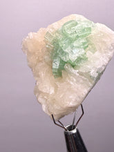 Load image into Gallery viewer, Green Radial “Disco Ball” Apophyllite | Maharashtra, India
