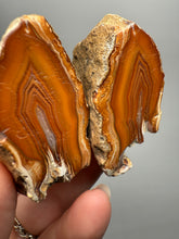 Load image into Gallery viewer, High-Grade Indonesian Sumatra Agate Pair – Vibrant Banded Chalcedony with Rich Color Zoning | Ethical Lapidary &amp; Collector Display Specimens
