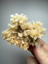 Load image into Gallery viewer, High-Grade Coral Aragonite Crystal Specimen – Wenshan Mine, Yunnan, China
