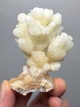 Load image into Gallery viewer, 2.8” High-Grade Flower Calcite Specimen | Wenshan Mine, Yunnan, China | Collector Mineral Display
