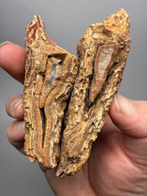 Load image into Gallery viewer, High-Grade Indonesian Sumatra Agate Pair – Vibrant Banded Chalcedony with Rich Color Zoning | Ethical Lapidary &amp; Collector Display Specimens

