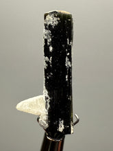 Load image into Gallery viewer, Cleavelandite Encrusted Dark Green Stak Nala Tourmaline – Haramosh Mountains, Pakistan | Thumbnail Specimen
