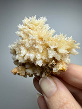 Load image into Gallery viewer, High-Grade Coral Aragonite Crystal Specimen – Wenshan Mine, Yunnan, China
