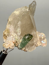 Load image into Gallery viewer, Blue Indicolite &amp; Mint Green Tourmaline on Quartz Matrix – Pegmatite Mineral Specimen from Pakistan
