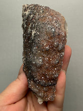 Load image into Gallery viewer, Natural Botryoidal Goethite on Druzy Amethyst Cluster | Collector Mineral Specimen | Morocco

