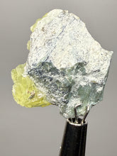Load image into Gallery viewer, Vibrant Yellow Brucite Thumbnail Mineral Specimen | Collector Crystal from Killa Saifullah District in Balochistan Province, Pakistan
