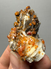 Load image into Gallery viewer, Natural Vanadinite on Matrix | Collector Mineral Specimen | Morocco
