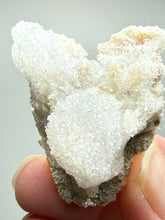 Load image into Gallery viewer, RARE COMBO Moroccan Ram’s Horn Selenite (Gypsum) with Yellow Botryoidal Fluorite Display Specimen
