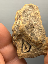 Load image into Gallery viewer, Premium Sumatra Agate (Banded Chalcedony) Display Specimen | Indonesia
