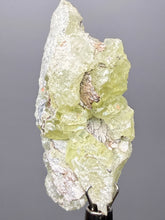 Load image into Gallery viewer, Vibrant Yellow Brucite Thumbnail Mineral Specimen | Collector Crystal from Killa Saifullah District in Balochistan Province, Pakistan
