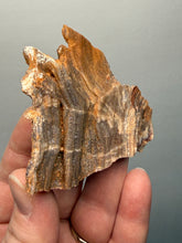Load image into Gallery viewer, Chalcedony Quartz Rose Agate Collector Mineral Specimen – Morocco
