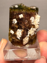 Load image into Gallery viewer, Tri-Color Tourmaline with Feldspar Mineral Specimen – Pakistan
