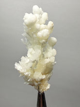 Load image into Gallery viewer, High-Grade Flower Calcite Crystal Specimen | Wenshan Mine, Yunnan, China | Collector Mineral Display
