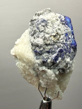 Load image into Gallery viewer, Afghanite &amp; Lazurite on Matrix Collector Display Specimen | Badakhshan Region, Afghanistan
