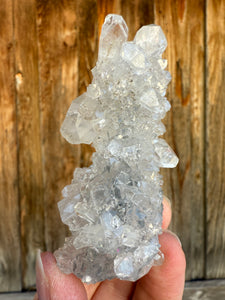 Clear Gem Apophyllite Encrusted Stalactite • Maharashtra, India