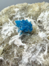Load image into Gallery viewer, Rare Electric Blue Pentagonite on Druzy Matrix – Collector Mineral Specimen | India
