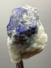 Load image into Gallery viewer, Afghanite &amp; Lazurite on Matrix Collector Display Specimen | Badakhshan Region, Afghanistan
