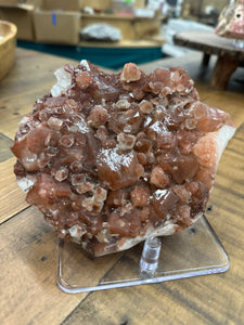 Red Druzy Phantom Apophyllite w Stilbite VERY RARE • Maharashtra, India